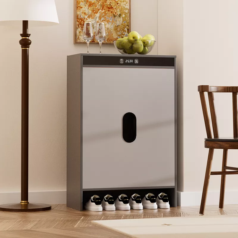 ग्राफीन इलेक्ट्रिक हीटिंग टायमिंग कोरडे शू कॅबिनेट