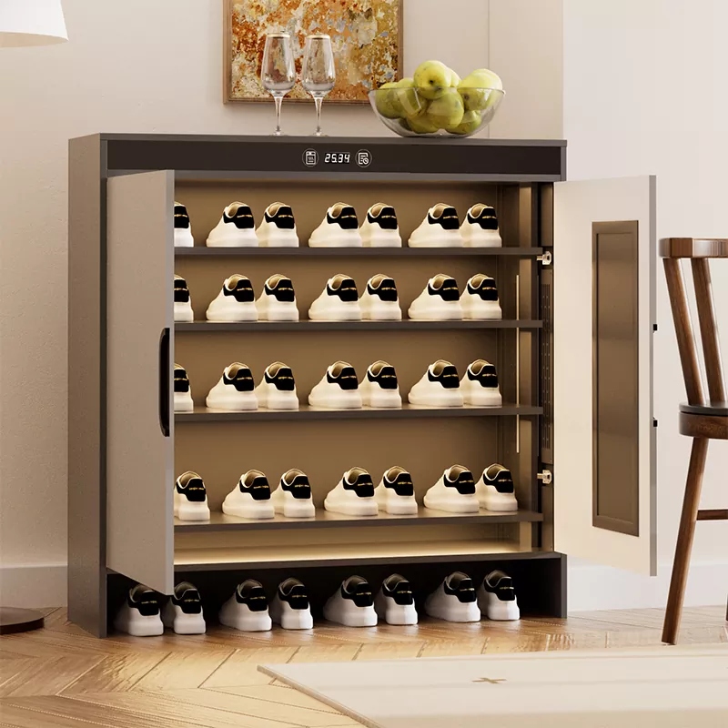 ग्राफीन इलेक्ट्रिक हीटिंग टायमिंग कोरडे शू कॅबिनेट