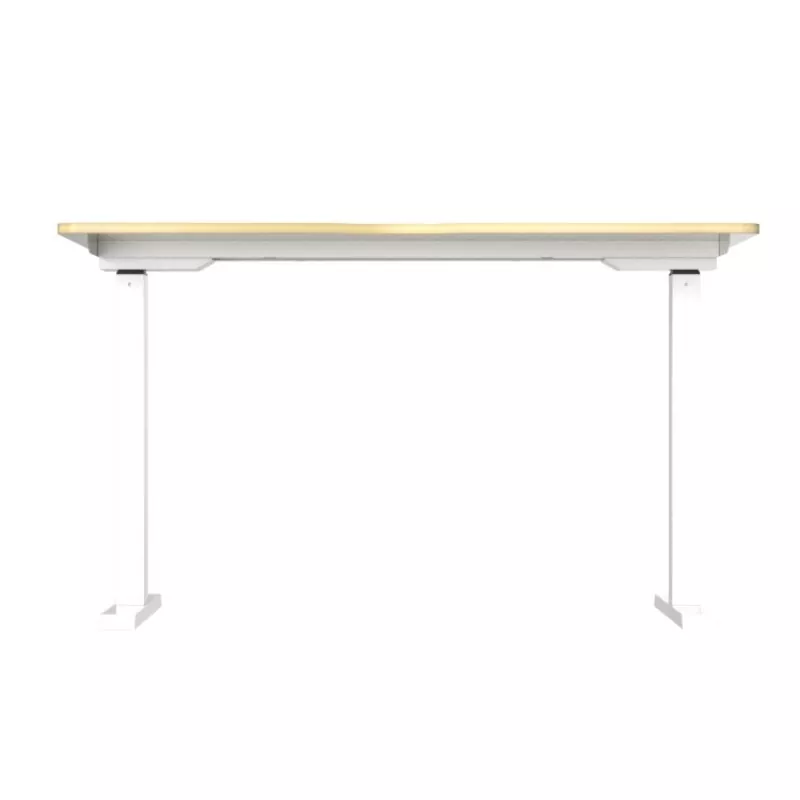 घन लाकूड ड्युअल मोटर इलेक्ट्रिक लिफ्टिंग टेबल